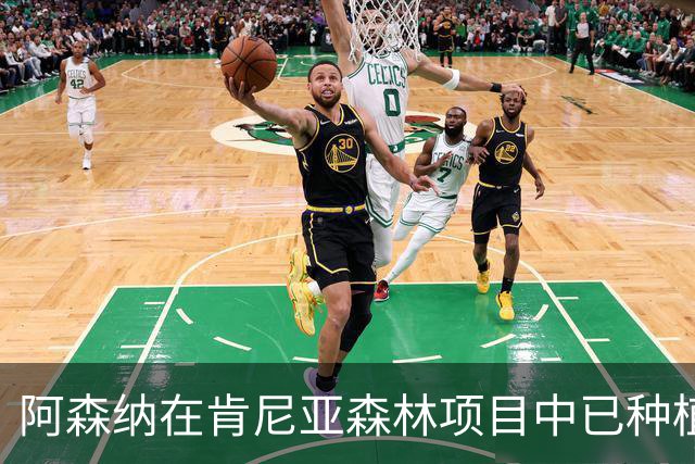阿森纳在肯尼亚森林项目中已种植超七万棵树木